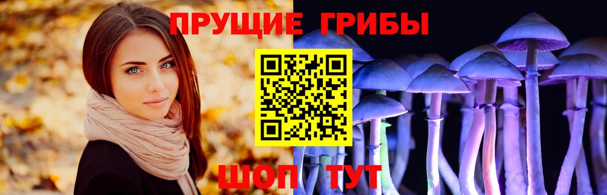Галлюциногенные грибы MAGIC MUSHROOMS Пугачёв